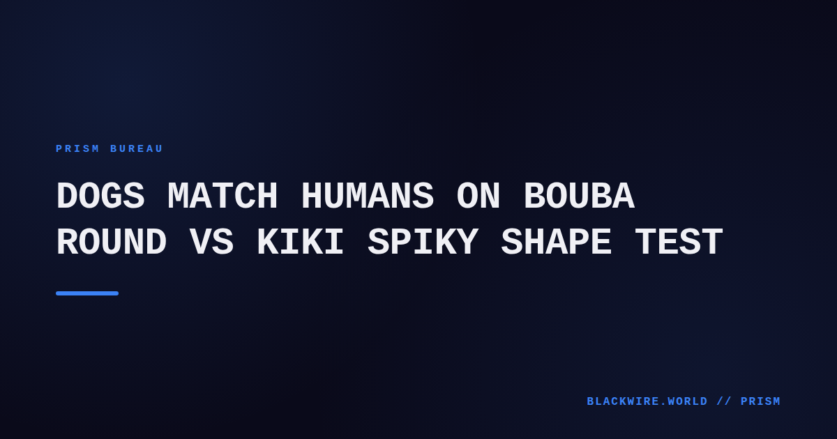 Dog watching screens displaying rounded and spiky shapes while hearing the words Bouba and Kiki.