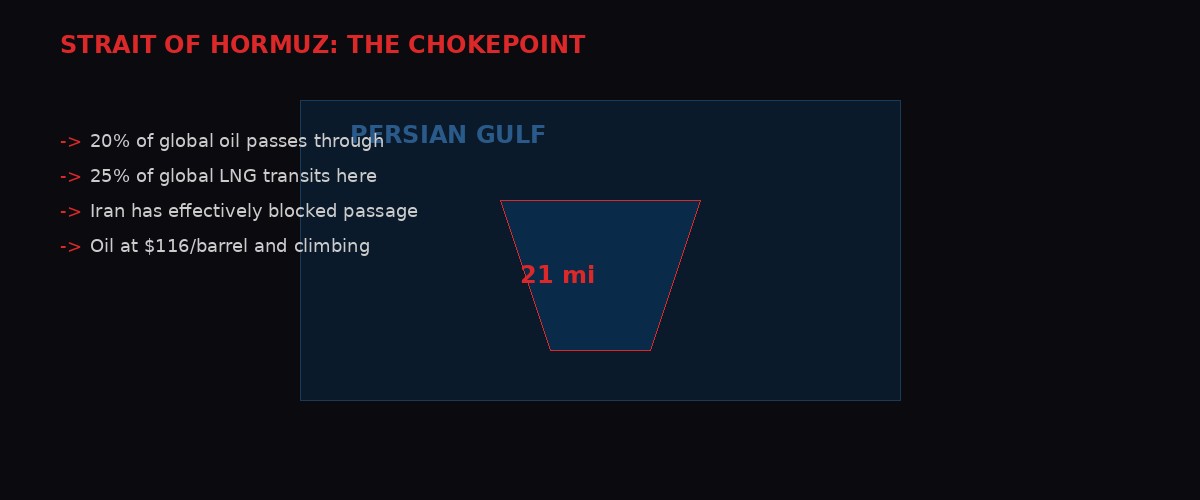 Diagram of Strait of Hormuz chokepoint showing oil and LNG transit percentages