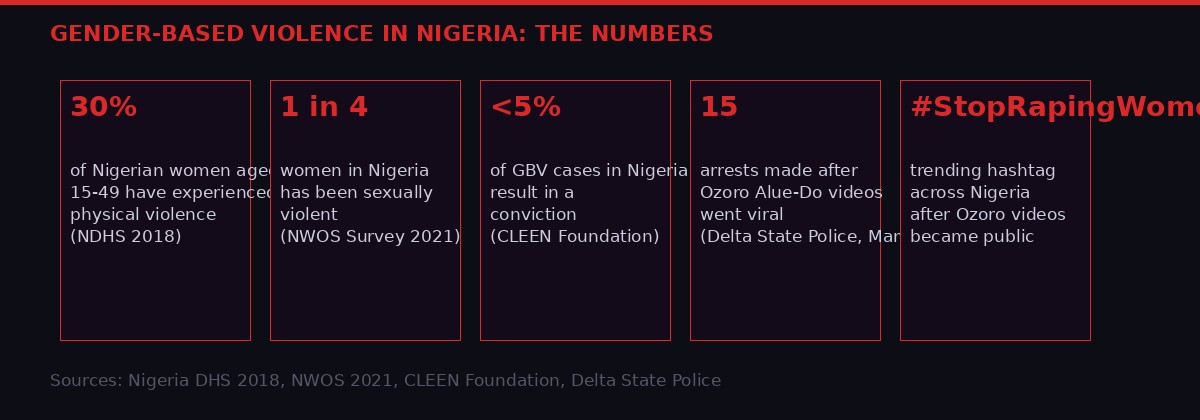 Nigeria gender-based violence statistics infographic