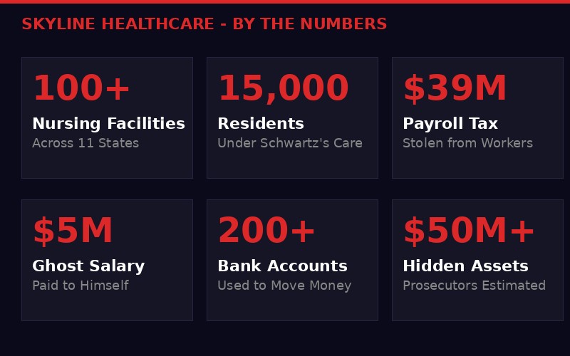 Skyline Healthcare by the numbers infographic