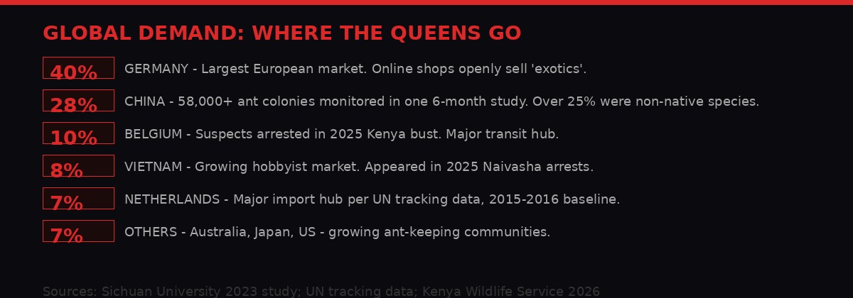 Global demand for trafficked ant queens - where they go