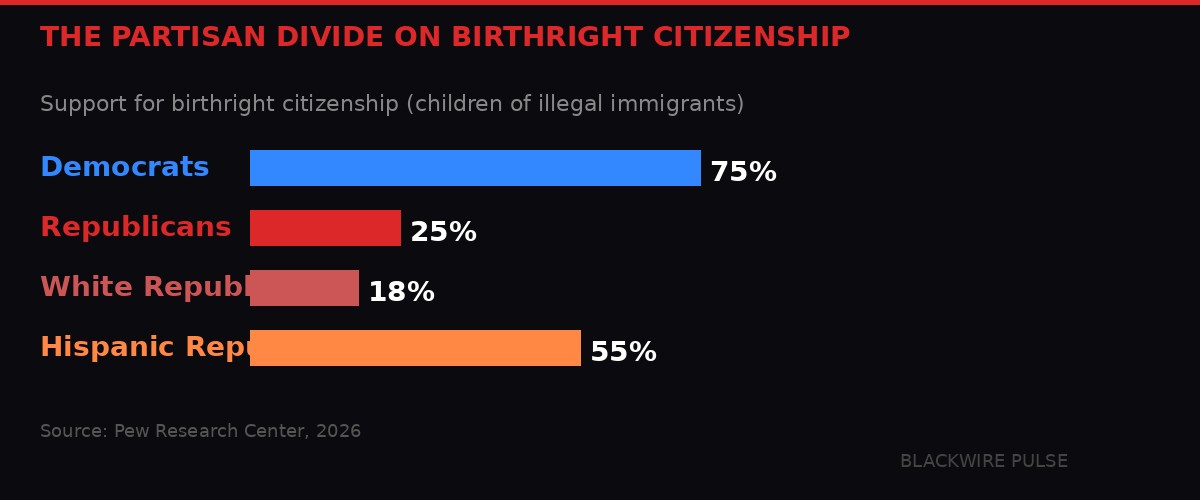 Partisan divide on birthright citizenship