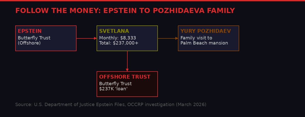 Money flows between Epstein offshore trust and Pozhidaeva family