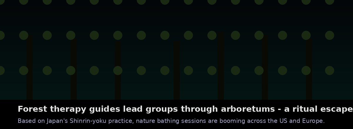 Forest bathing - people seeking nature as refuge from war and economic anxiety