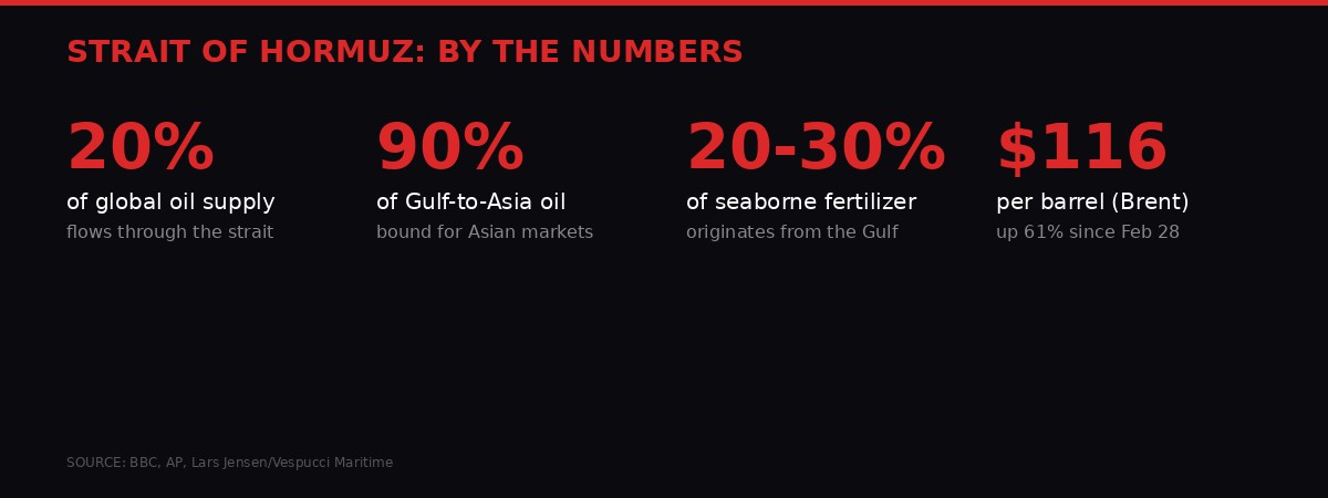 Strait of Hormuz statistics