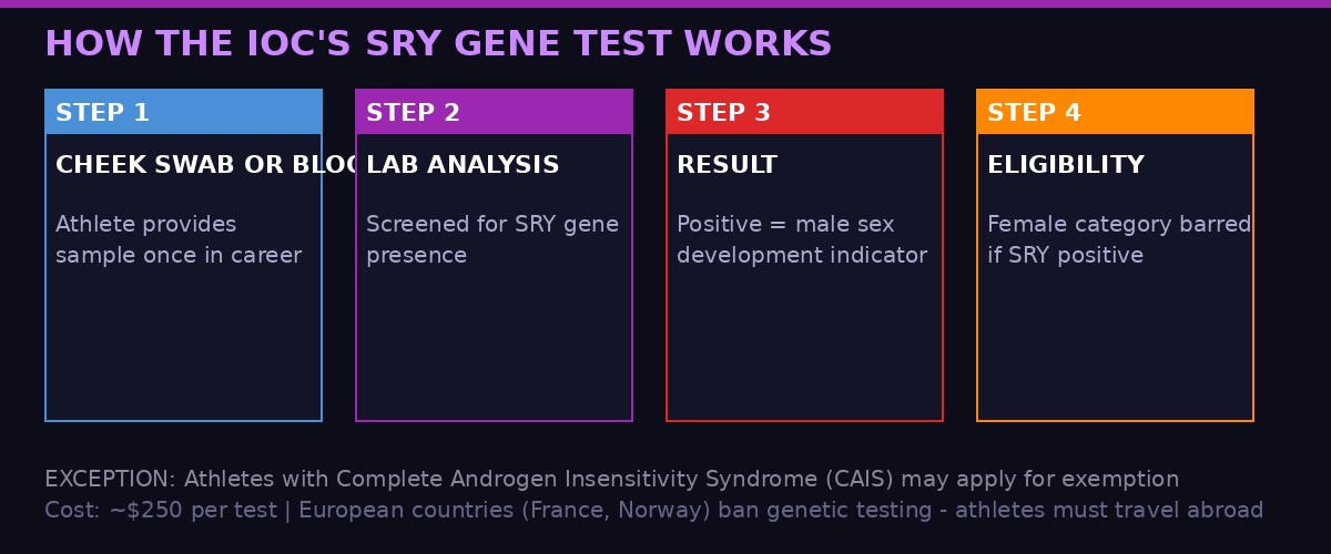 How the SRY gene test works - step by step