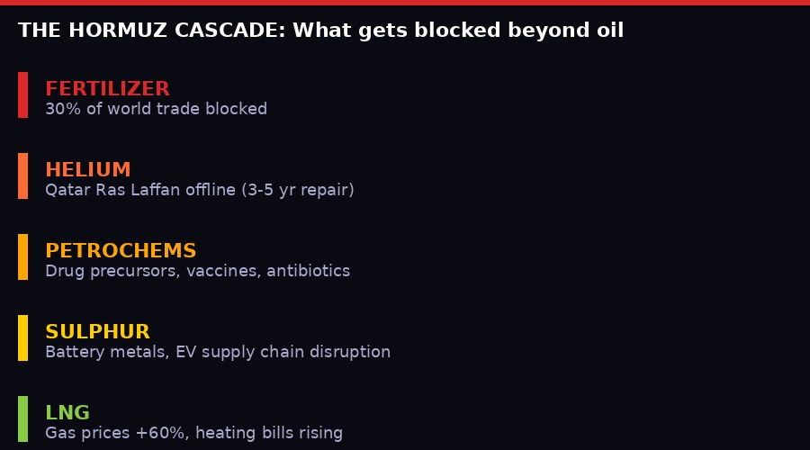 Hormuz blockade cascade infographic - fertilizer, helium, petrochemicals, sulphur, LNG
