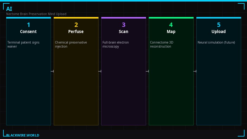 Nectome 6-step preservation protocol