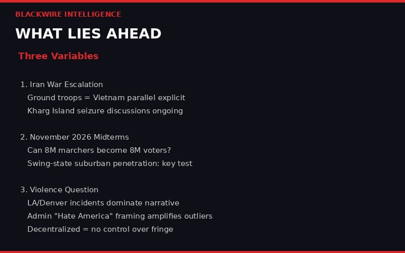 No Kings movement future outlook infographic