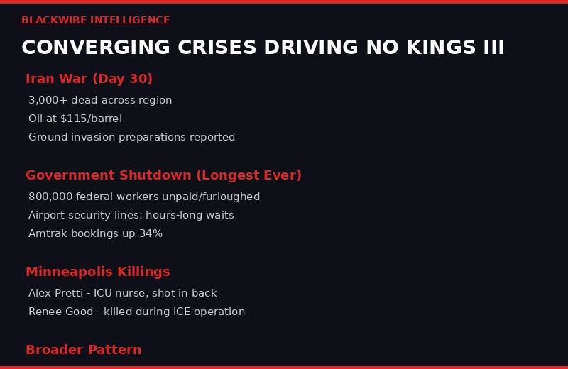 No Kings III grievances breakdown infographic