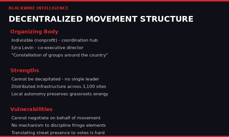 Movement organizational structure infographic