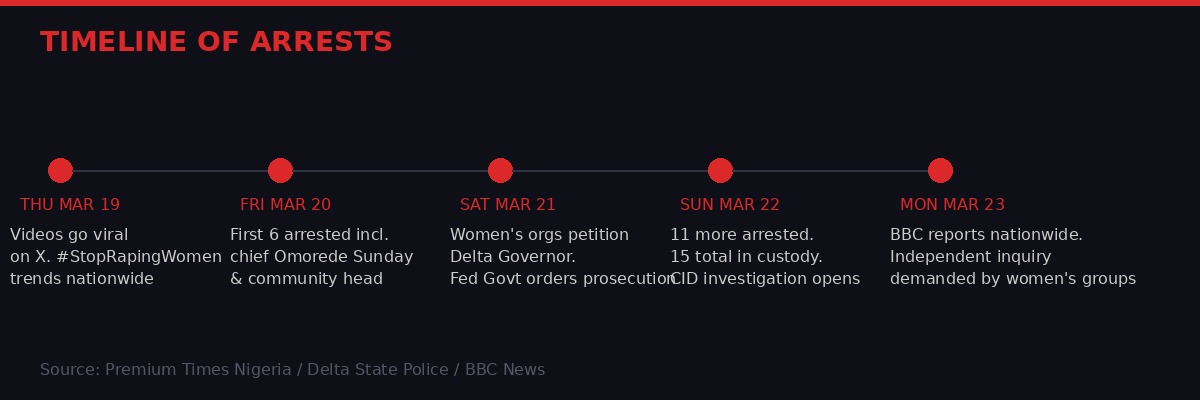 Timeline of arrests and responses in the Ozoro festival assault case