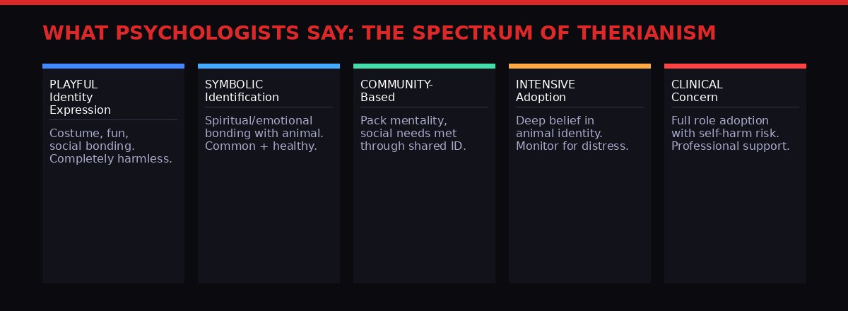 Psychology spectrum of therian identification