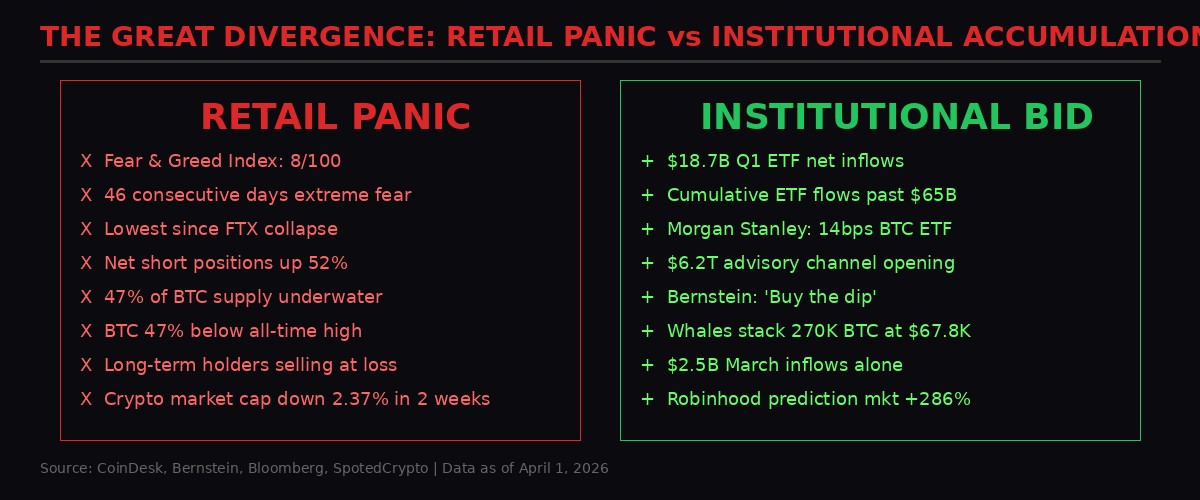 Infographic showing retail panic versus institutional accumulation