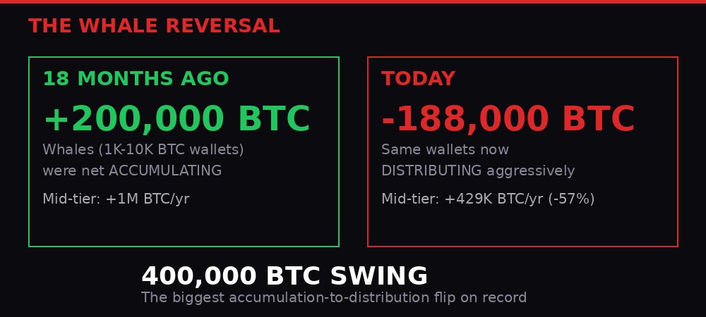 Whale reversal infographic showing accumulation to distribution flip