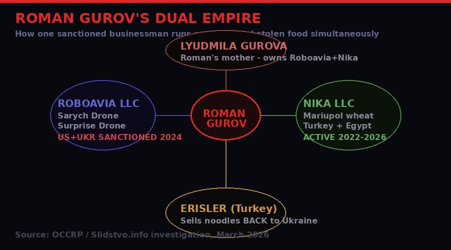 Network map showing Roman Gurov's dual empire - Roboavia drones and Nika LLC grain