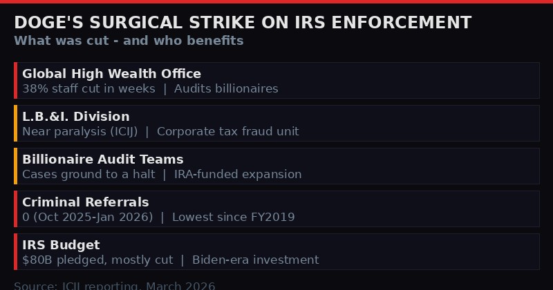 DOGE IRS cuts infographic